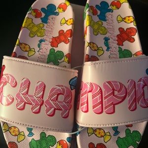 Champion Candy Land Slides